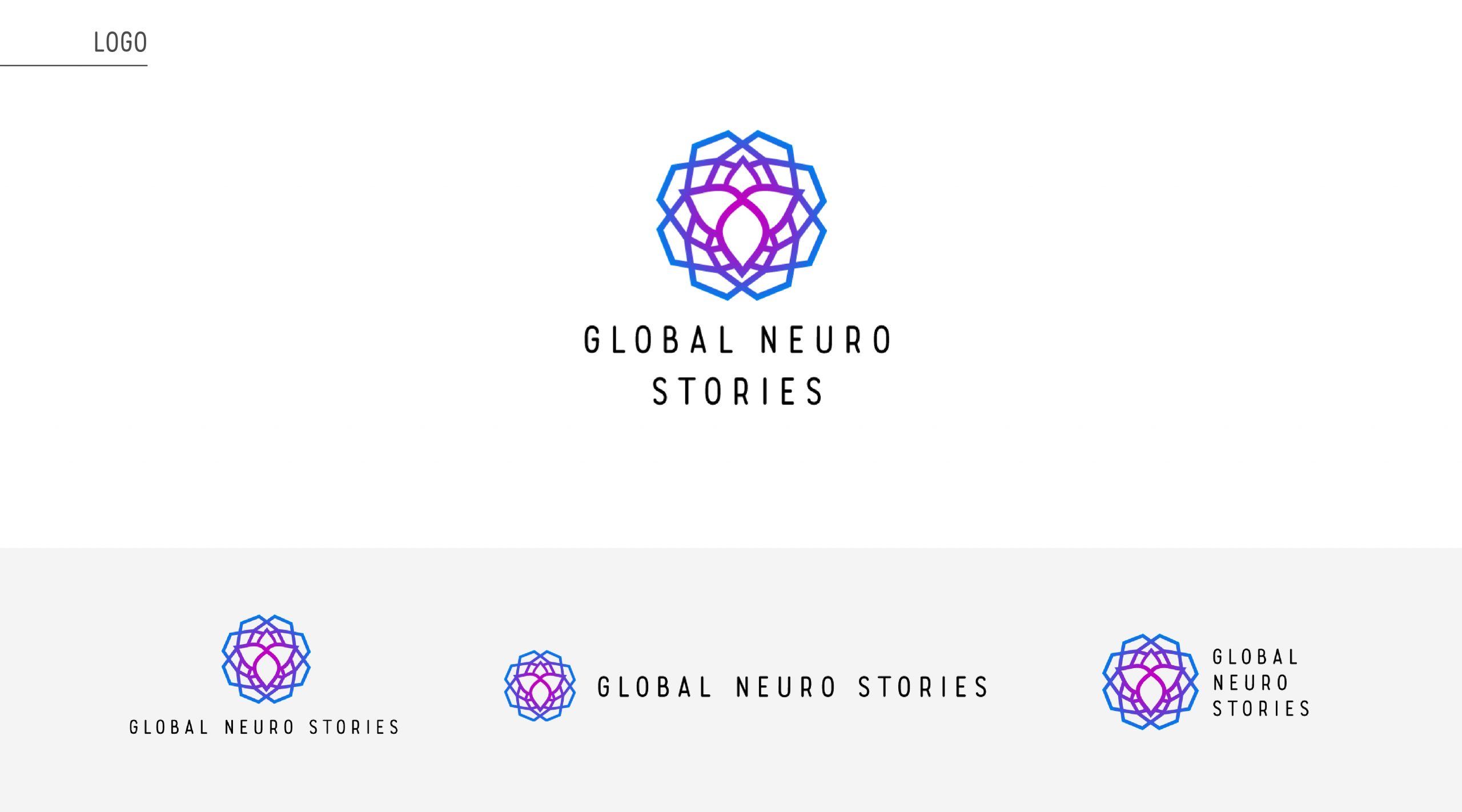 gns_slides-01